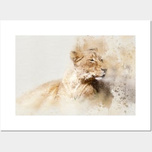 Lioness Lion Wild Animal Safari Africa Jungle Posters and Art